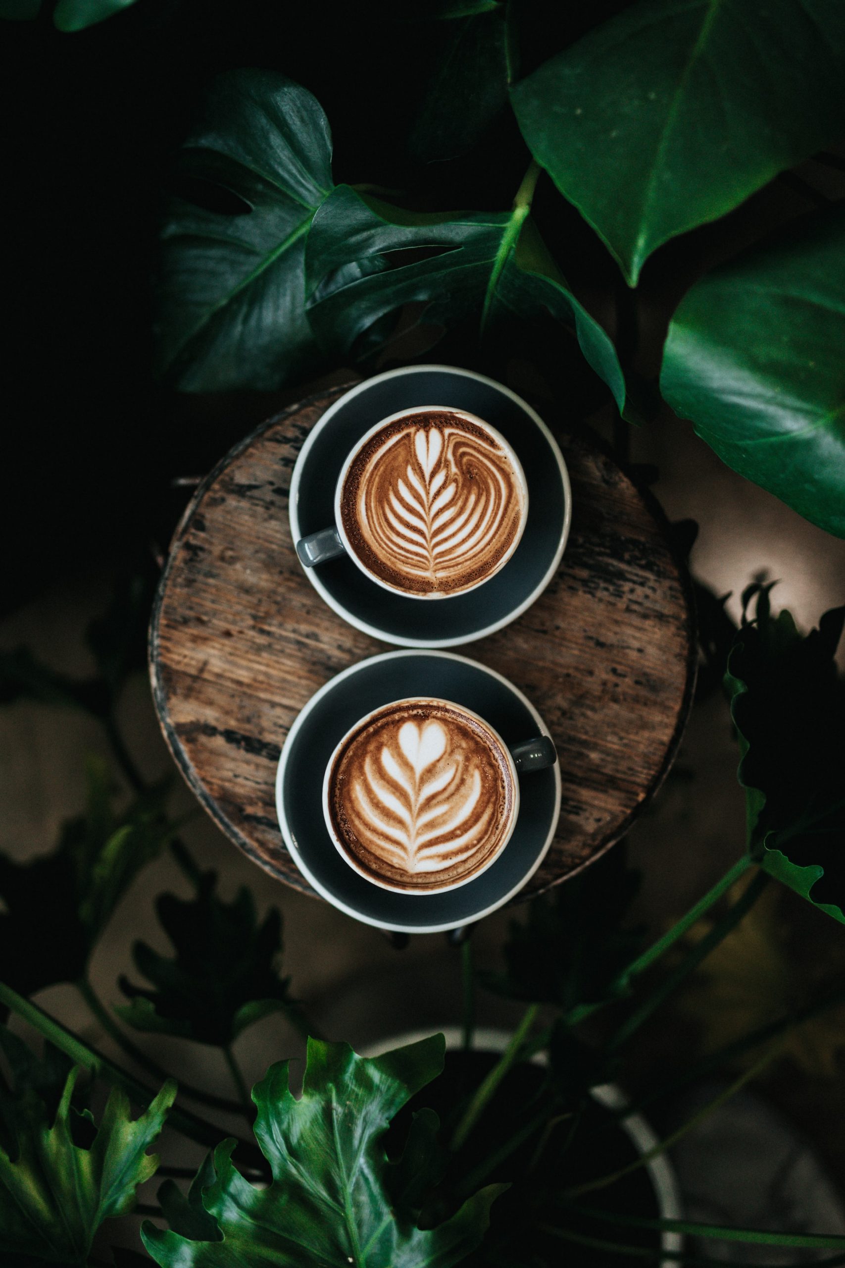 Aerial view of two lattes sitting on a wooden table surrounded by green plant leaves