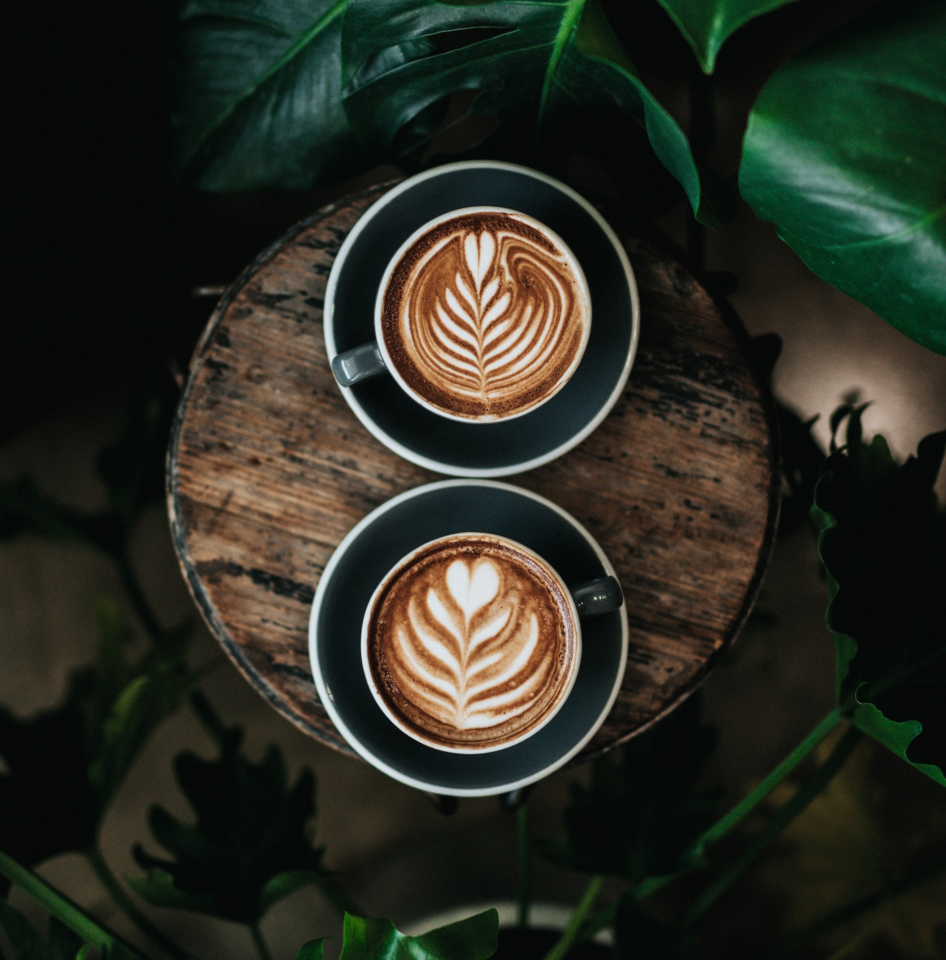 Aerial view of two lattes sitting on a wooden table surrounded by green plant leaves