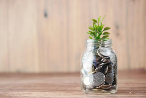 Coins in a glass jar with a small plant growing out of it